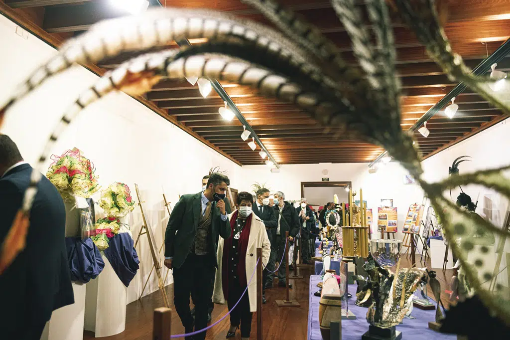 Escuela del carnaval la laguna.jpg
